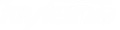 hylane-logo-weiss-m